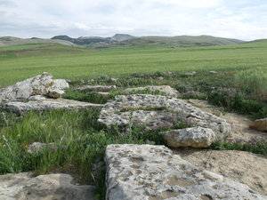 Stone in Fields