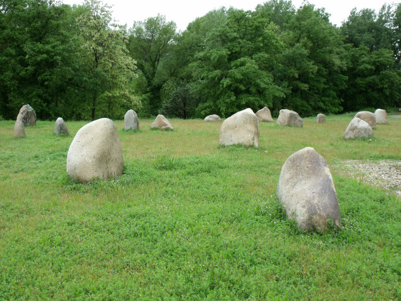 Rocks in a Field