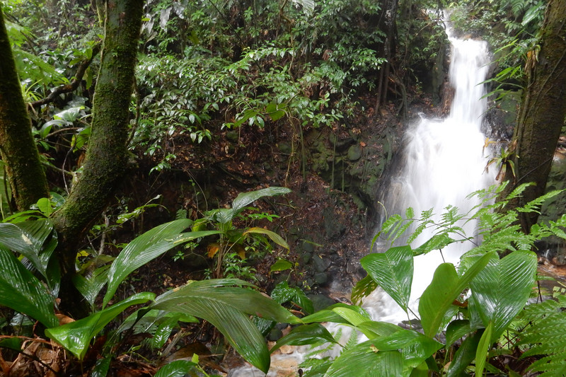 Rio Azul falls