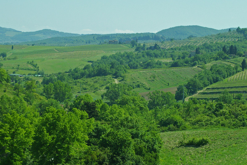 Verdant countryside