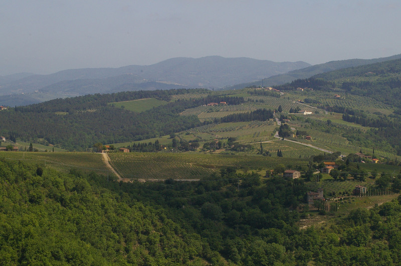View of Verrazzano