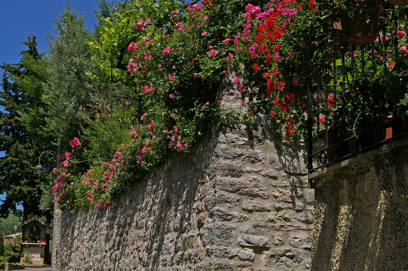 Beautiful flowers on rugged stone wall
