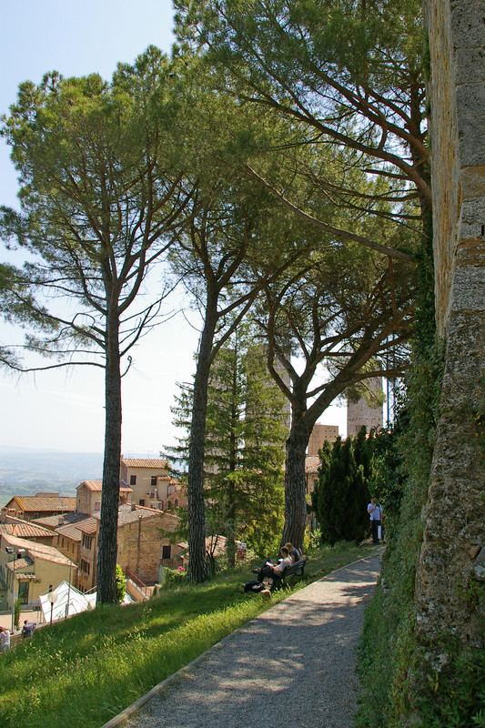 Graceful walk in San Gimignano