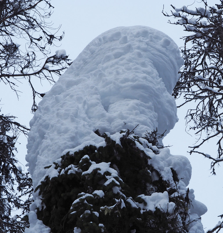 Towering snow blob