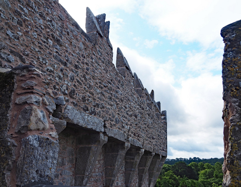 Top of Blarney Castle