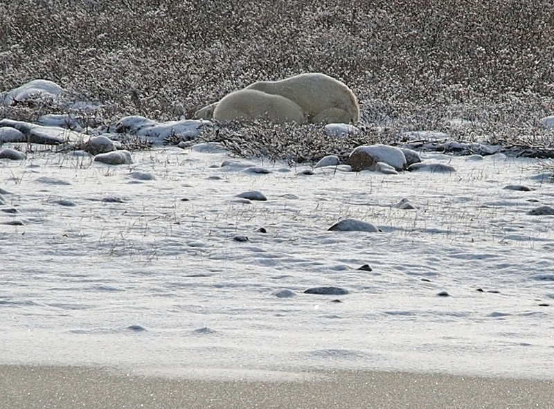 Resembling boulders