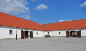 Stables for mares and foals 