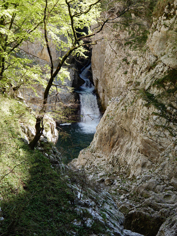 Stream into Škocjan Caves 