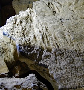 Cave Bear claw marks 