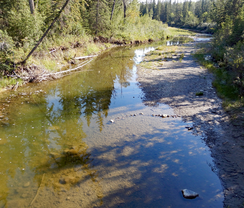 Fish Creek 