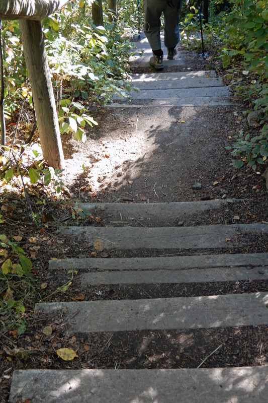 Stairs on the Douglas Fir Trail 