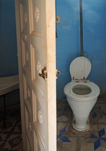 Thomas Crapper toilet - elegance and convenient
