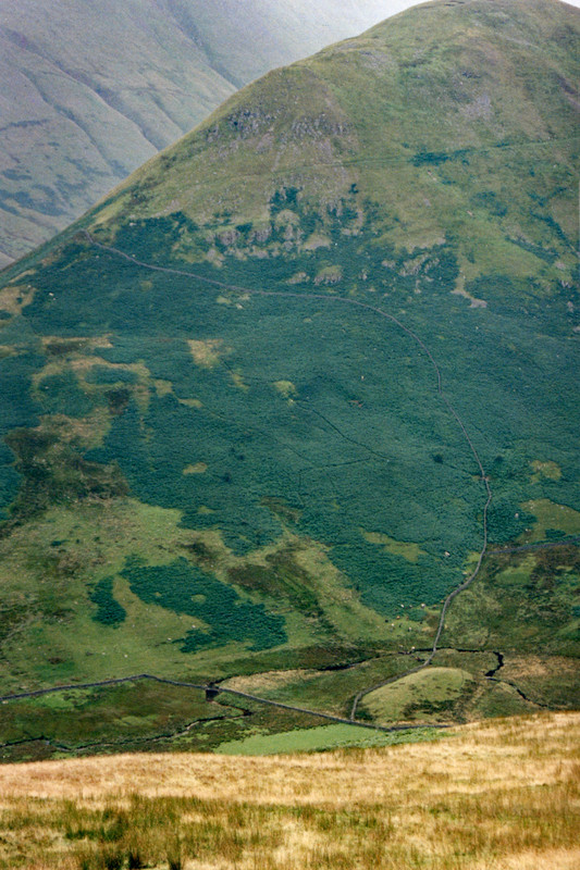 Martindale, from Beda Head 