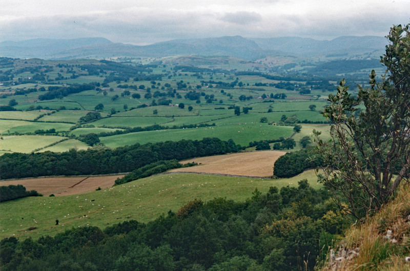 View west from Scout Scar