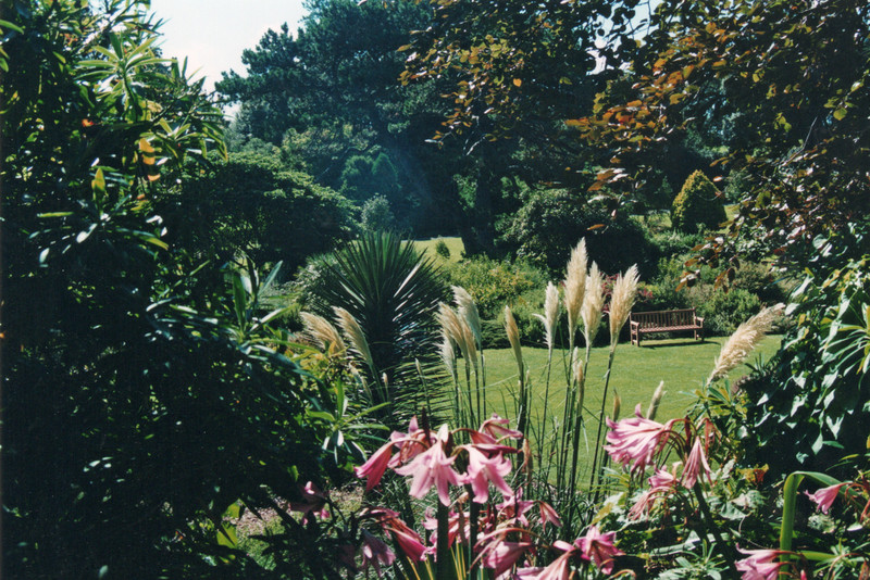 Ventnor Botanical Gardens