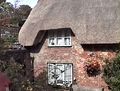 Thatched cottage in Shanklin