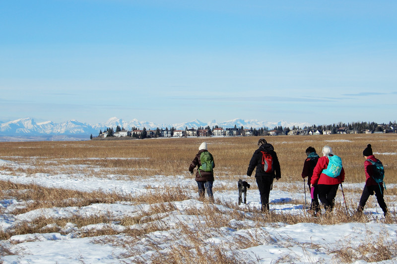 Walking in Nose Hill Park 