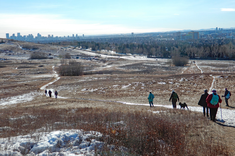 Downtown from Nose Hill Park 