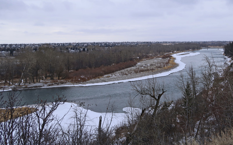Bow River meanders