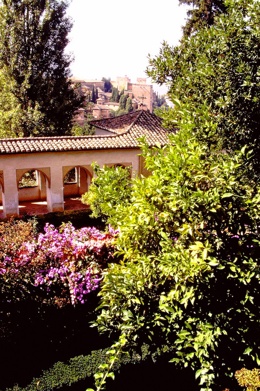 Passageway in the Alhambra garden