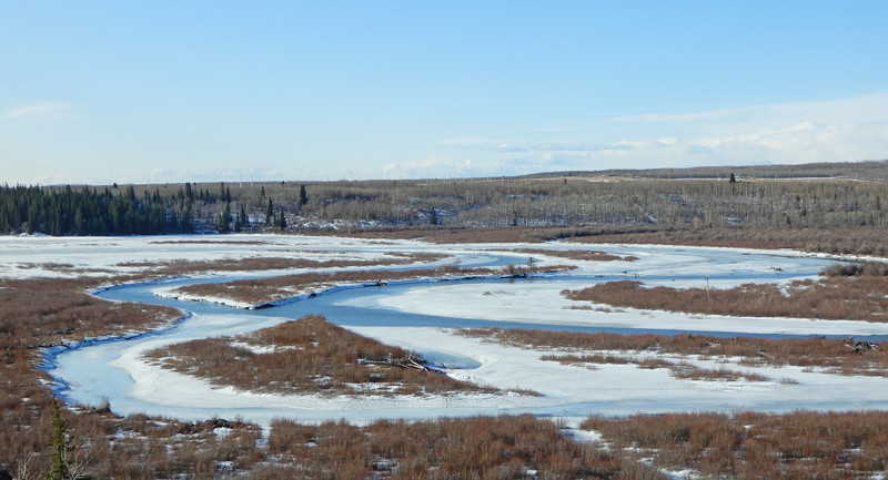 Elbow River meandering into marshland
