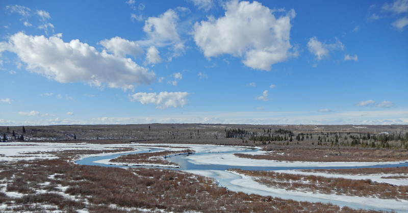 Weaselhead Flats 