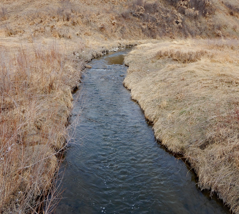 Nose Creek in early spring