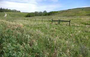 Glenbow Ranch natural terrain