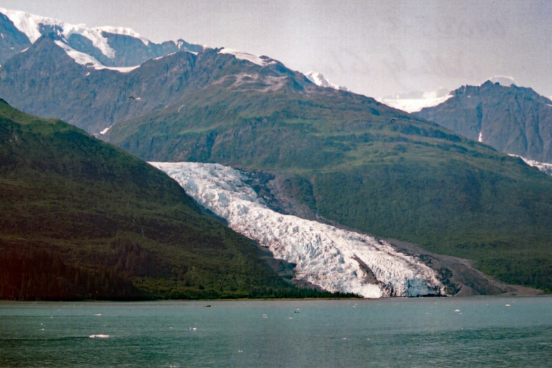 Wellesley Glacier 
