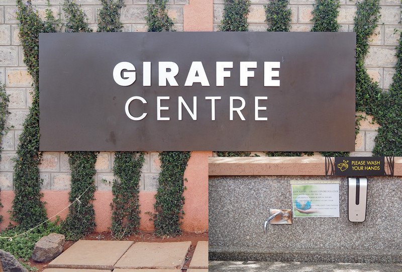 Giraffe Centre 