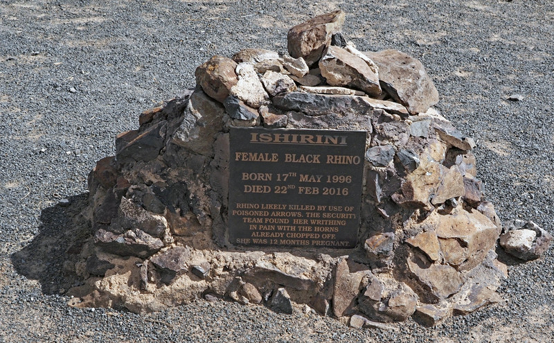 Grave marker for poached rhino 