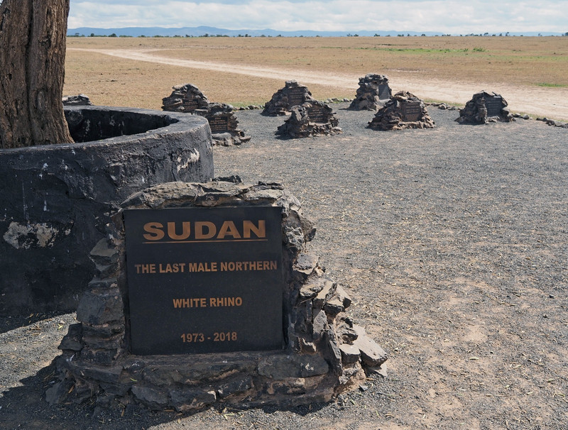 Grave of Sudan 