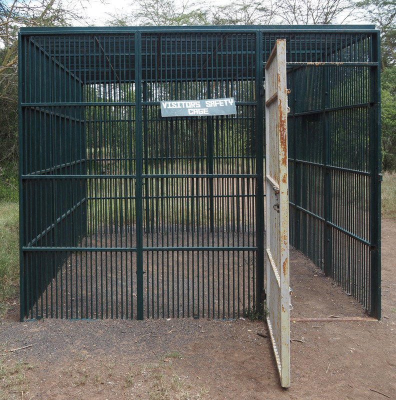 Visitor safety cage 