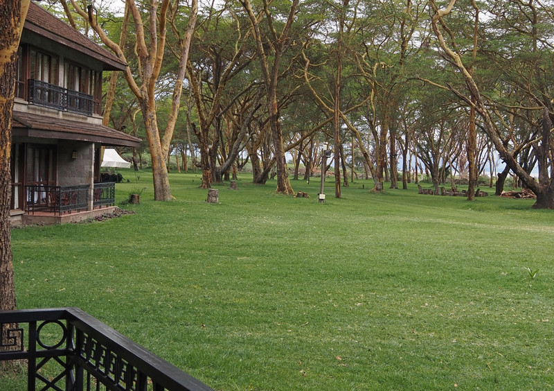 Grounds of Lake Naivasha Lodge 