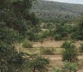 Rift Valley landscape