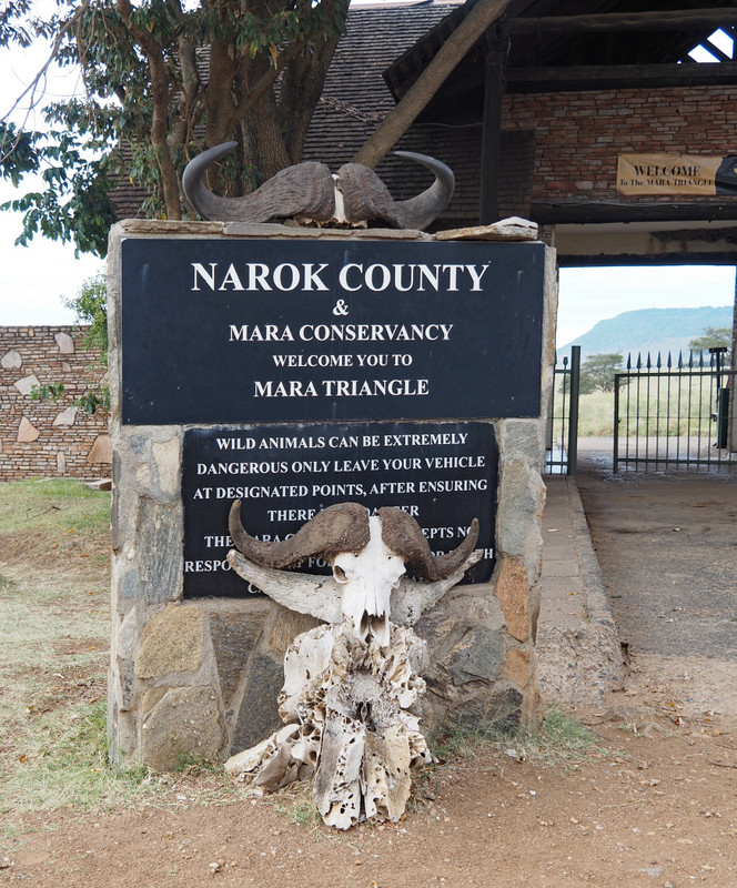 Mara Conservancy  