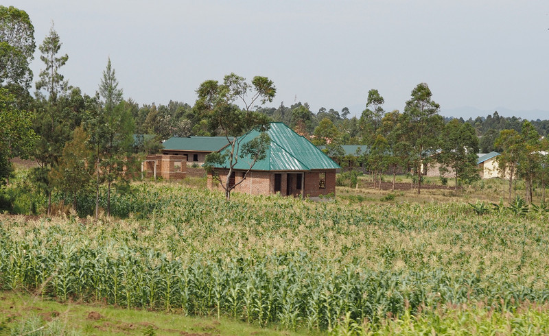 Tanzanian farm 