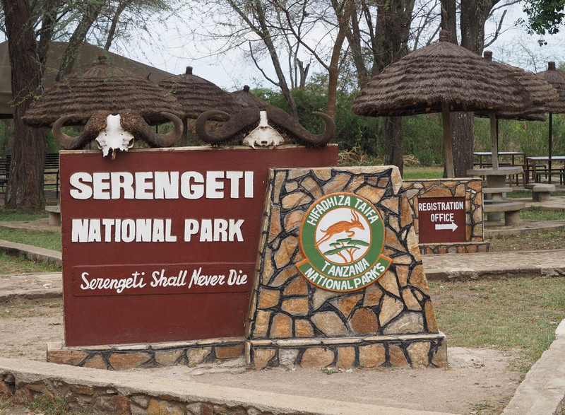 The Great Serengeti 