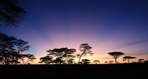 Sunrise over the Serengeti 