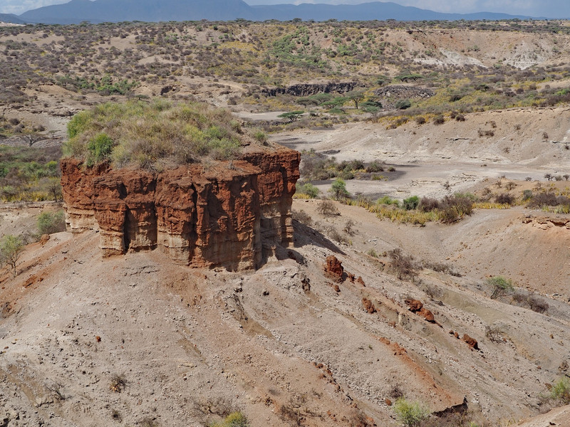 Olduvai archeological digs 