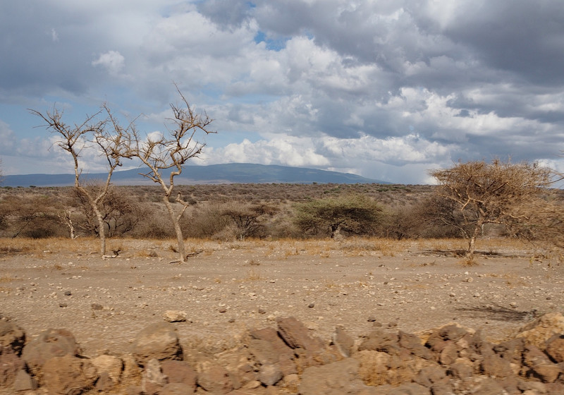 Dry landscape 