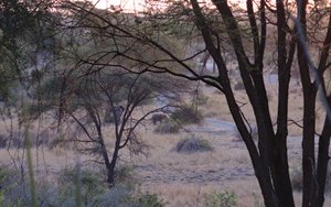 Dawn view from Osupuko Lodge 