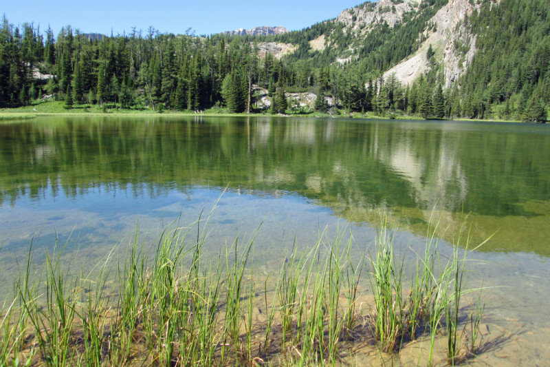 Grizzly Lake 