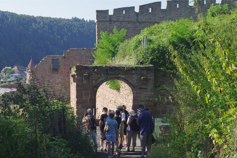 Walking to the Castle