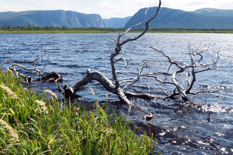 Western Brook Pond in the distance