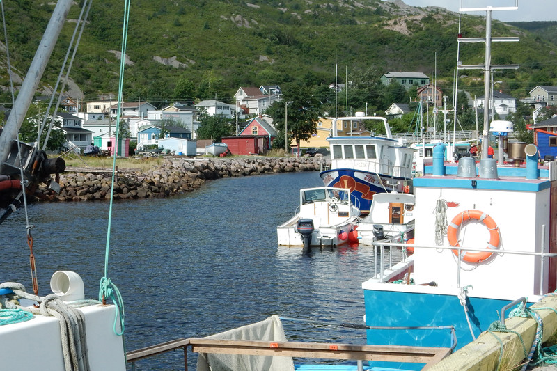 Petty Harbour