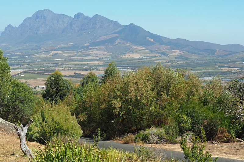 Western Cape view
