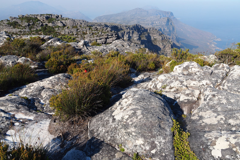 The top of Table Mountain