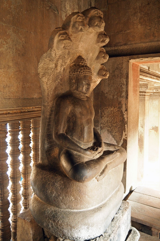 Buddha sitting on a seven headed python