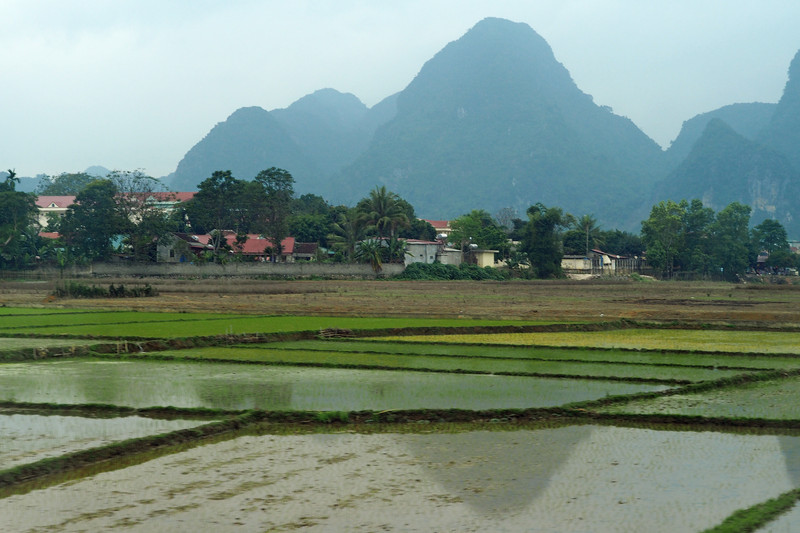 Rice fields near Minh Son